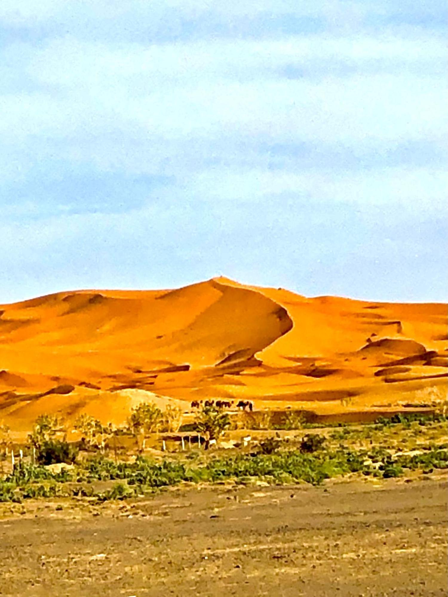 מרזאוגה Bivouac La Fibule Des Dunes מראה חיצוני תמונה